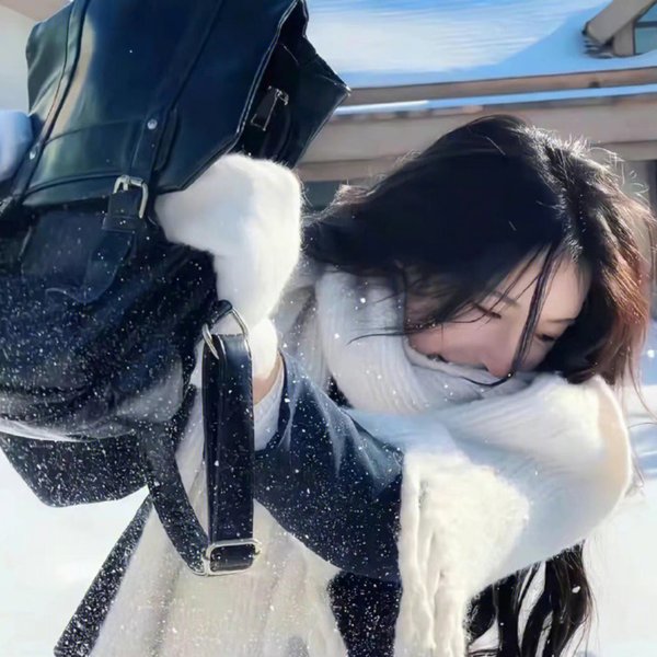 独占接班人